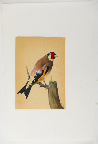 Unbekannter künstler aquarell - unbekannter,